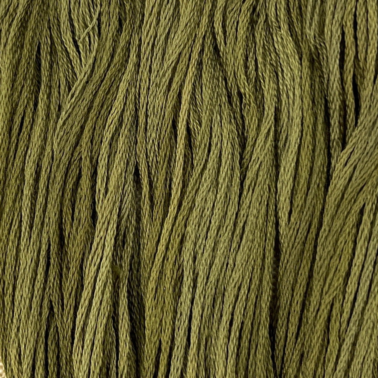 Pine Needles - Per Single Skein